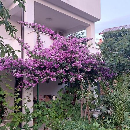 Apartments Plavi&Zuti Жаборич Экстерьер фото