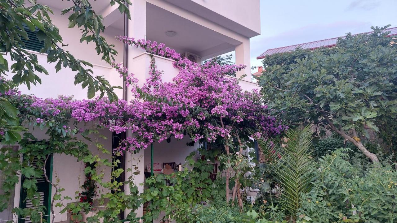 Apartments Plavi&Zuti Жаборич Экстерьер фото